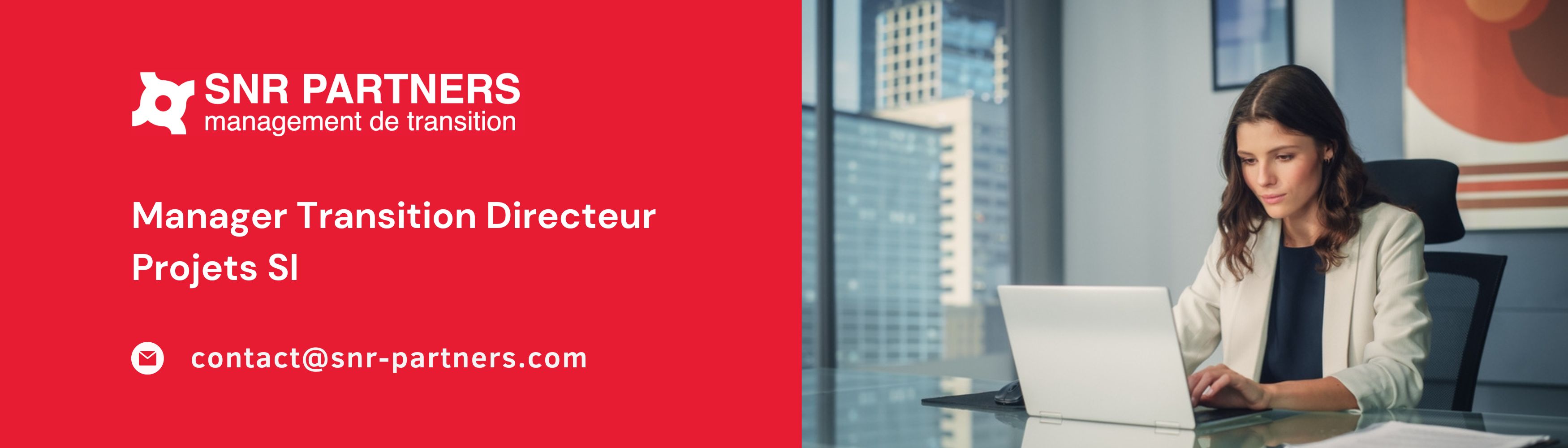 Manager Transition Directeur Projets SI